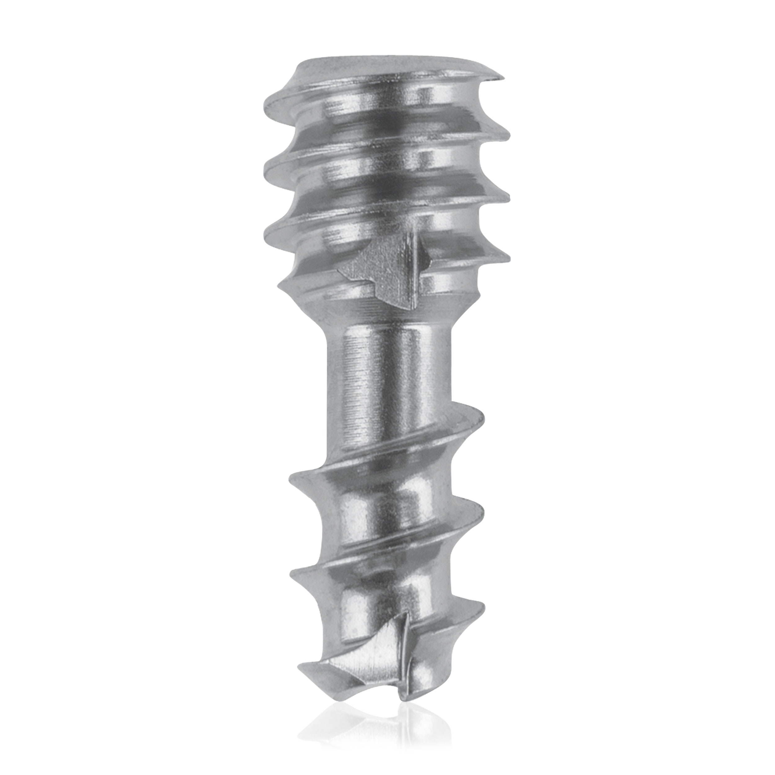 L = 10mm